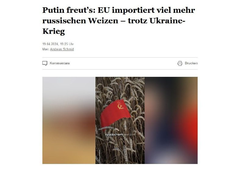 🇷🇺🇪🇺 Евросоюз стал импортировать вдвое больше российской пшеницы, чем до СВО
