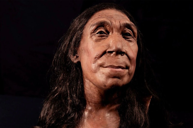 

Ученые показали внешность неандертальской женщины, жившей 75&nbsp;тыс. лет назад

