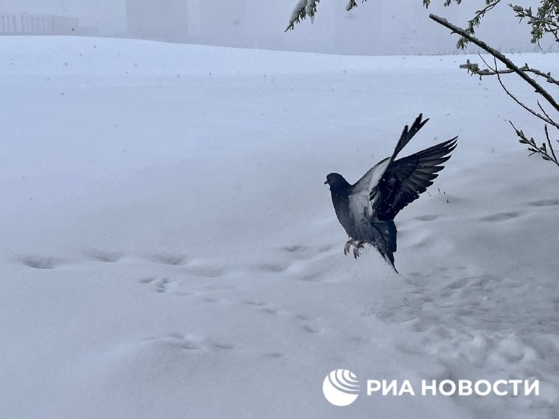 В Екатеринбурге прошел сильный снегопад.
